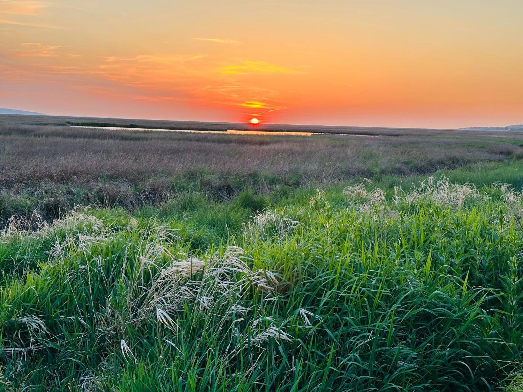 The Rambler'S Rest Cottage, Parkgate, Wirral Parkgate  Bagian luar foto